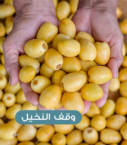 Clarico-Text-Image-2