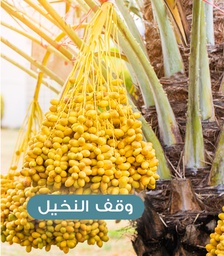 مشروع وقف النخيل